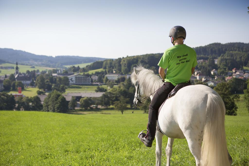 Hotel Reitzentrum Hausruckhof Ampflwang im Hausruckwald Kültér fotó