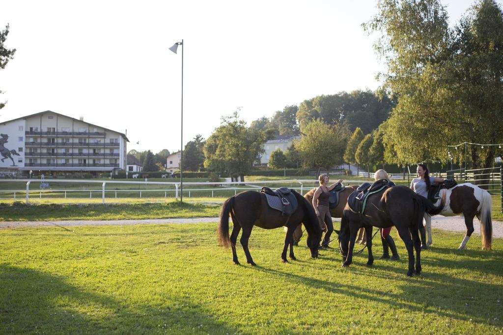 Hotel Reitzentrum Hausruckhof Ampflwang im Hausruckwald Kültér fotó