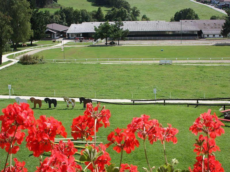 Hotel Reitzentrum Hausruckhof Ampflwang im Hausruckwald Kültér fotó